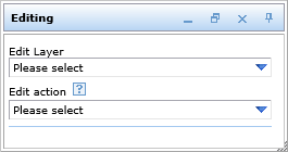 Editing tool form in the WebOffice html client Editing tool form in the WebOffice html client