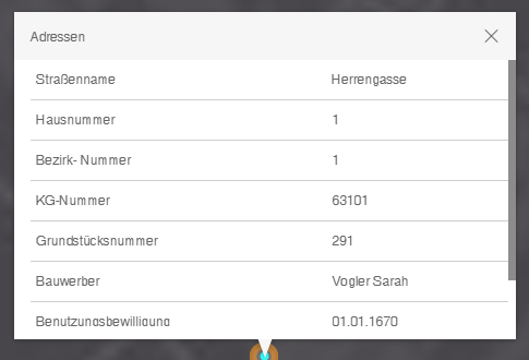 Maximiertes Einzelergebnis im WebOffice flex Client