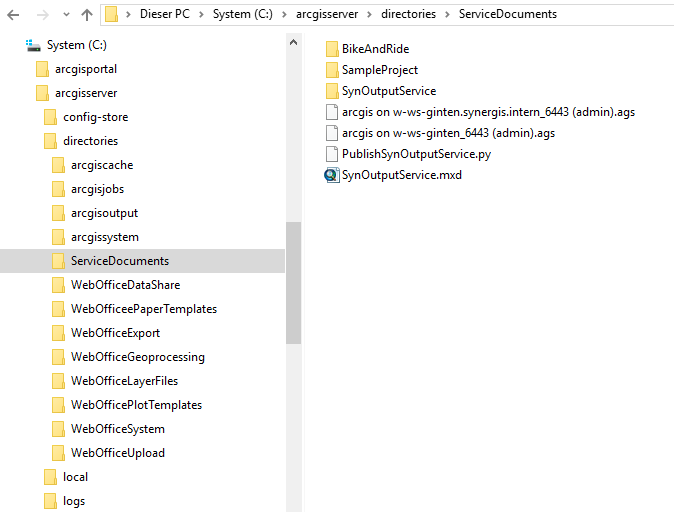 SynOutputService Datei-Struktur
