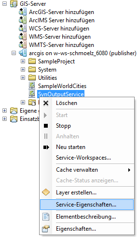 Öffnen der Servereigenschaften