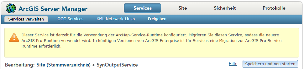wo_Publish_SynOutputService_auto3b