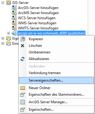 Öffnen der Servereigenschaften