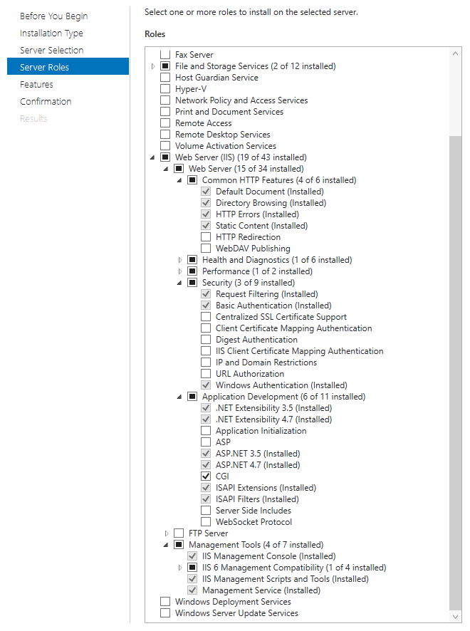 IIS requirements IIS requirements