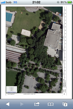 Print output in a new browser tab