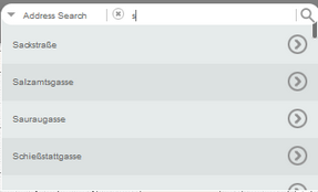 Suggestion based on entry