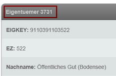 ArcMap Relates im Mobile client