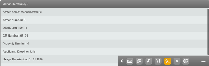 Detail view of an object in the mobile client