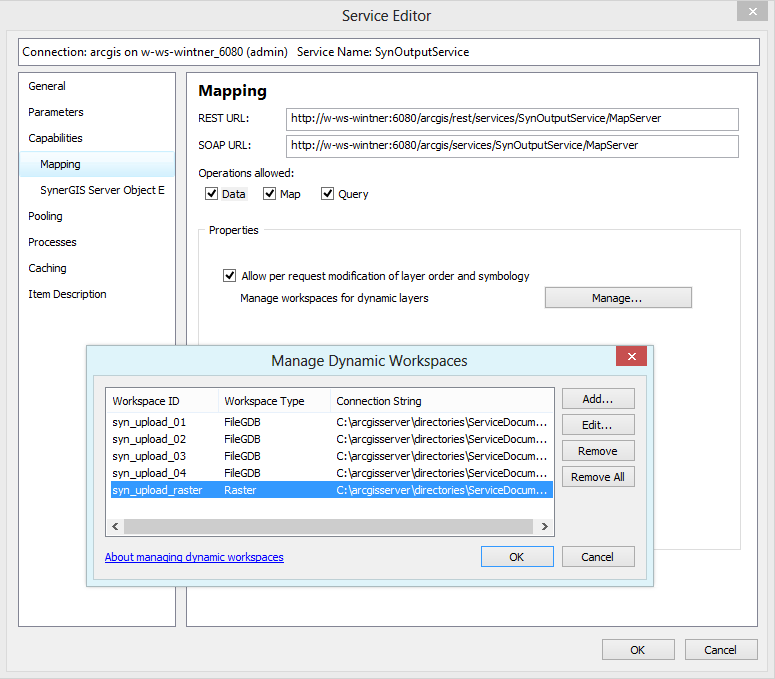 Added dynamic raster workspace