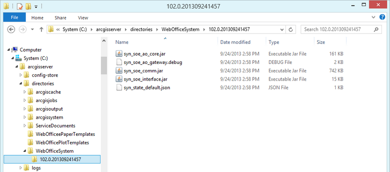 Content of the subfolder of the synergis directory