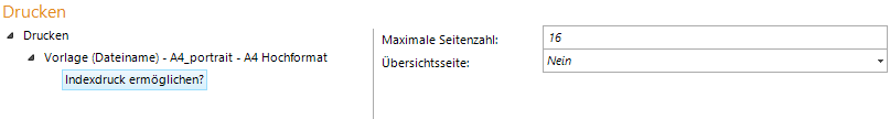 Indexdruck ermöglichen? Konfiguration Indexdruck ermöglichen? Konfiguration