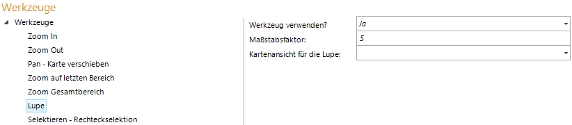 Konfiguration Lupe Konfiguration Lupe