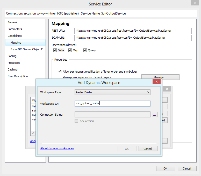Add dynamic workspace - raster folder