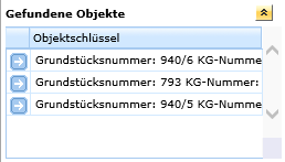 Gefundene Objekte Gefundene Objekte