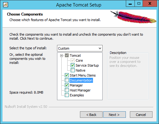 Apache Tomcat Setup - "Service Startup" auswählen