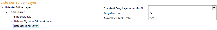 Fang-Layer Konfiguration mit Editier-Layer