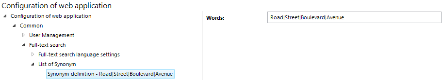 Synonym definition configuration