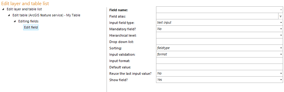 Configuration of the Edit field Configuration of the Edit field