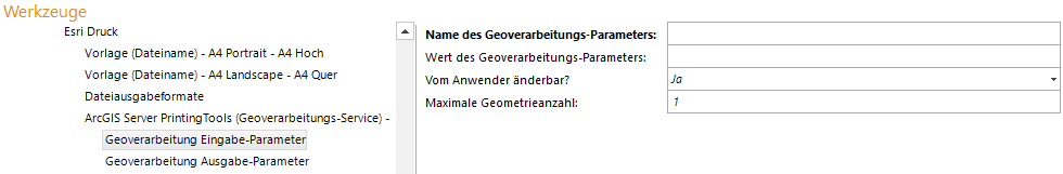 esri_print_input_parameter