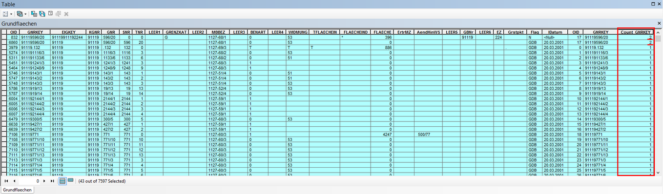 Darstellung der Attributtabelle zum Auffinden von doppelten Objektschlüssel-Einträgen