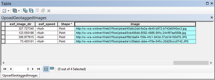 Feld mit voller Bild-URL Feld mit voller Bild-URL