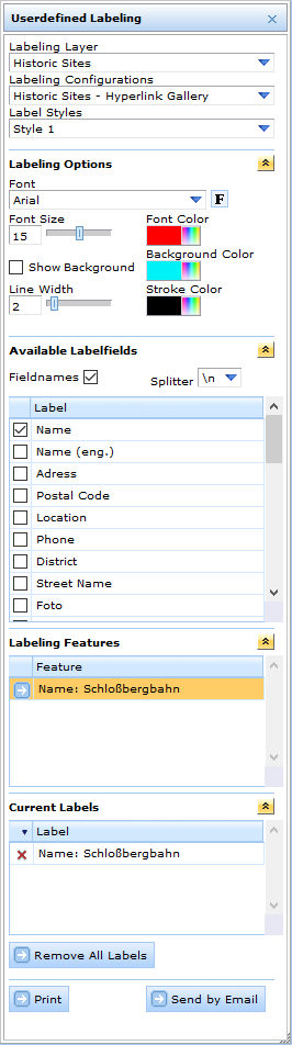 Fully expanded Userdefined Labeling tool dialog in the WebOffice html client