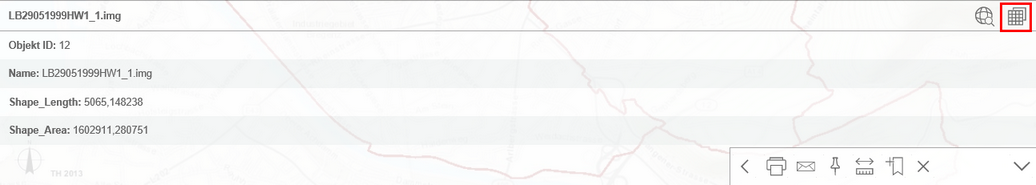 search - Adding of a single raster choice dataset