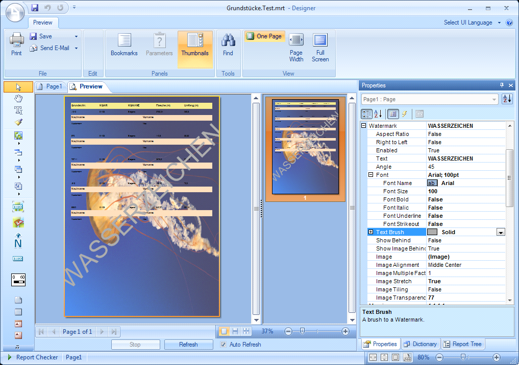 Watermark: Text and image
