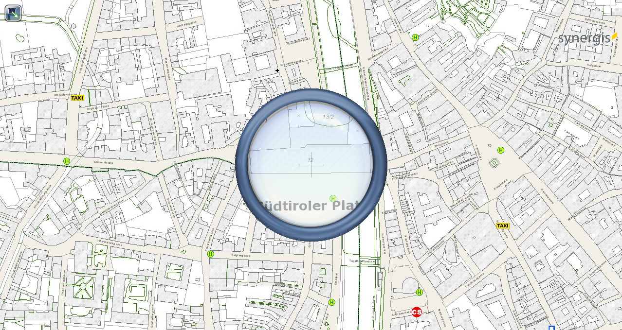 Aktivierte Lupe im flex Client Aktivierte Lupe im flex Client