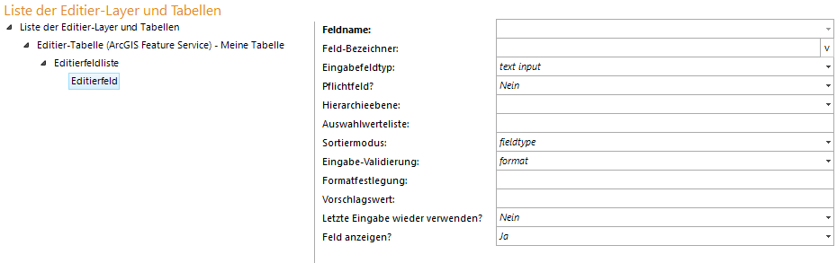 Konfiguration des Editierfeld