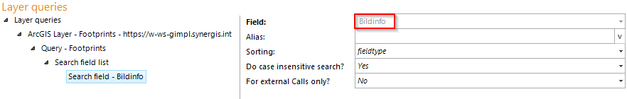 Configuring a query for the usage of the oblique aerial images custom tool (3)
