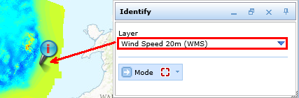 Identify tool on WMS layer Identify tool on WMS layer