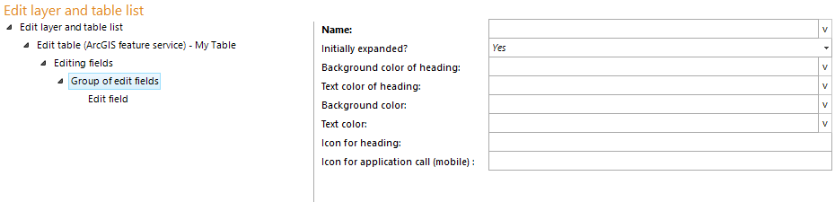 Group of edit fields - configuration