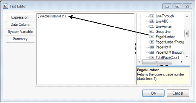 Text Editor - System Variable