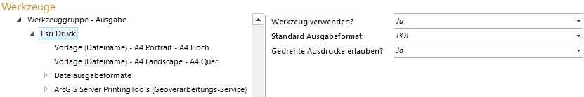 Konfiguration Esri Druck