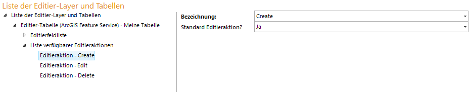 Konfiguration der Editieraktion