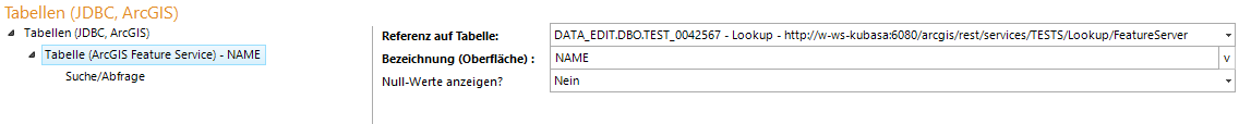 Tabelle (ArcGIS Feature Service) - Konfigurationsparameter