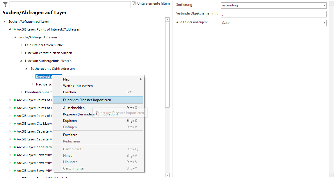 Automatischer Import der Ergebnisfelder des Dienstes