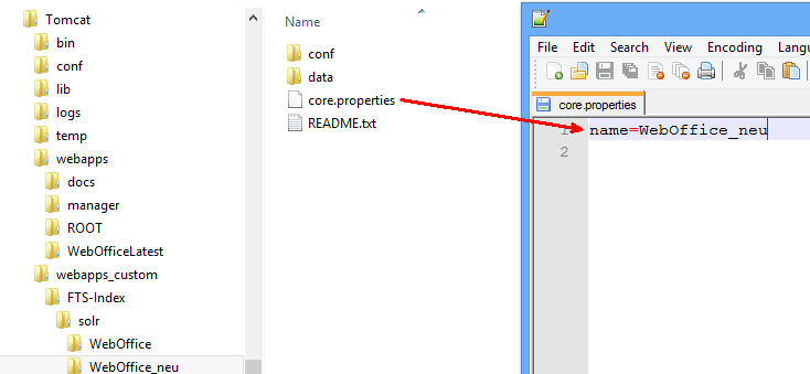Adjust the name of the core of the FTS-Index application 