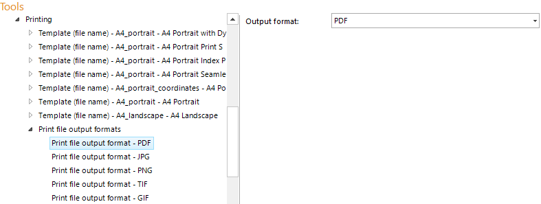 Print file output format configuration