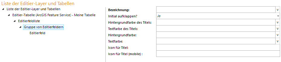 Gruppe von Editierfeldern - Konfiguration