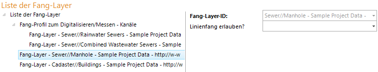 Fang-Layer Konfiguration