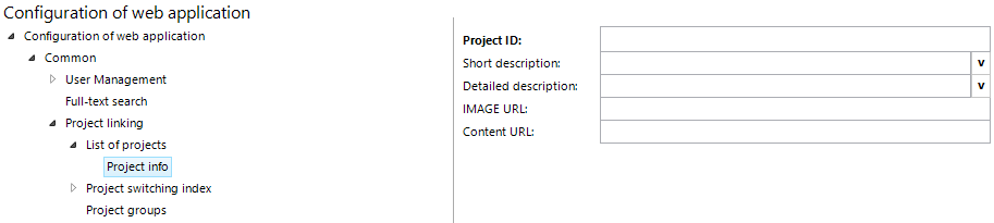Project info configuration