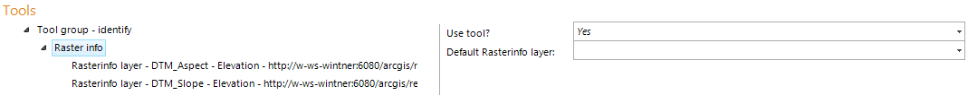 Raster info tool configuration