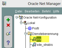 Net Service Name Bezeichnung im Oracle Net Manager Net Service Name Bezeichnung im Oracle Net Manager