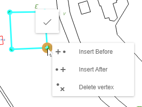 Possibilities after right-clicking a vertex