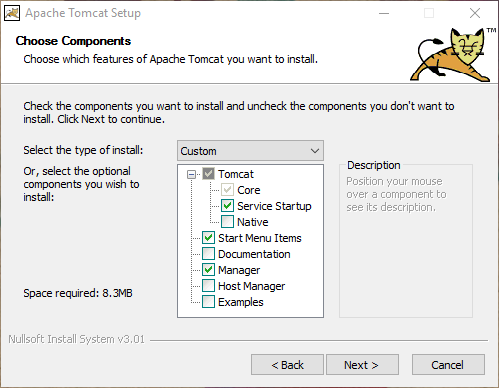 Apache Tomcat setup - select Service Startup Apache Tomcat setup - select Service Startup