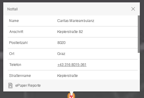 Einzelergebnis mit ePaper Konfiguration im WebOffice flex Client