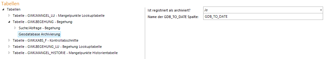 Geodatabase Archivierung Konfiguration