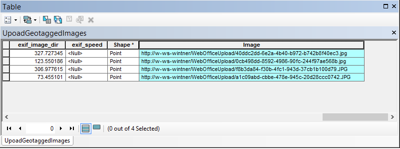 Feld mit voller Bild-URL