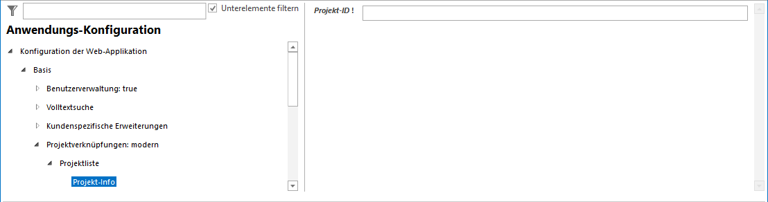 Konfiguration der Projekt-Info